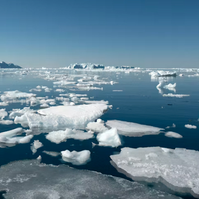 Arctic seascape with floating ice and distant icebergs under a clear blue sky